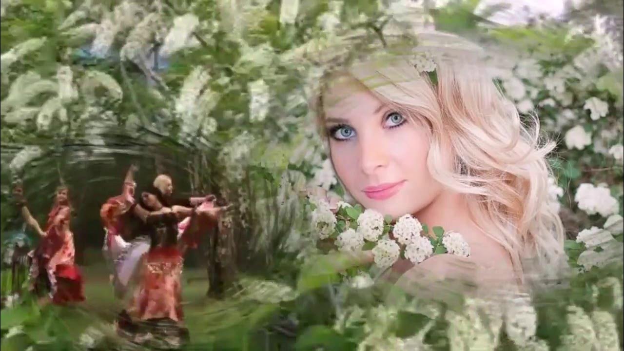 расцвела черёмуха виктор. песни виктора королева расцвела черемуха. виктор королев расцвела черемуха. расцвела черёмуха - viktor koroolev. песни виктора королева расцвела черемуха.