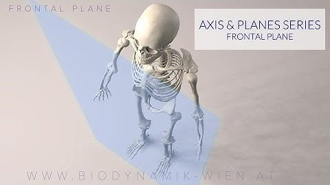 Axes & Planes Series, Part 2: Frontal Plane (3D Animation)