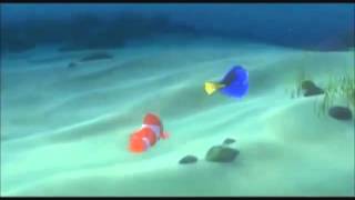 Dory-Anterograde Amnesia