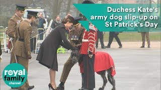 Duchess Kate's army dog slip-up on St Patrick's Day