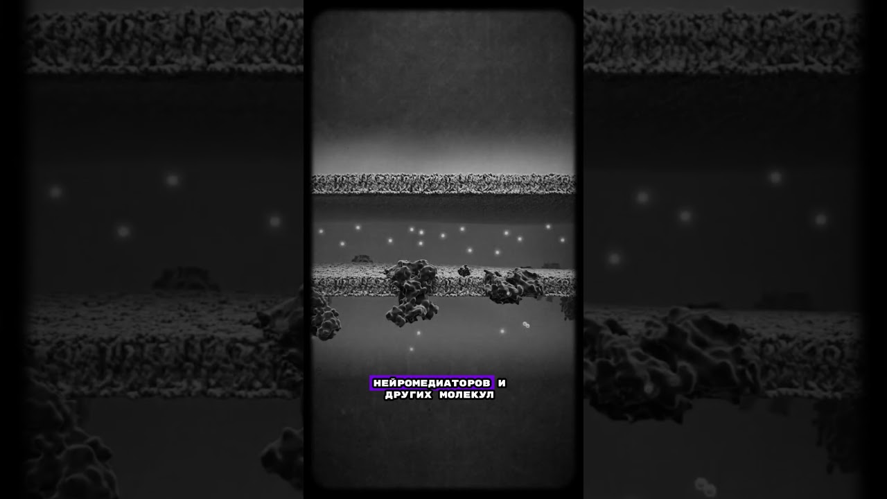 Что такое гематоэнцефалический барьер?
