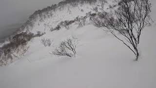 Cat skiing with Hokkaido Backcountry Club, Shimamaki, Japan