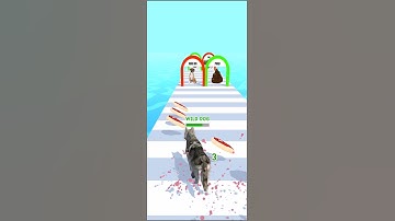 Doggy run gameplay walkthrough 🐕🥰 | All levels | android, iOS mobile | New update #shorts games