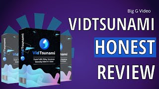 VidTsunami Honest Review - $15 Text to Video Software any good? screenshot 5