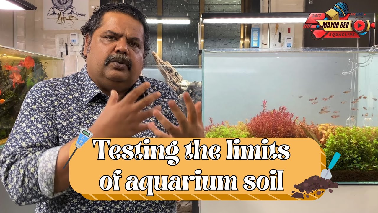 Testing Aquarium Soil Like Never Before! | How Far Can Your Substrate Go? 