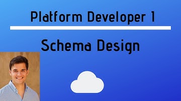 Salesforce Platform Developer I Certification - Schema Design Impact