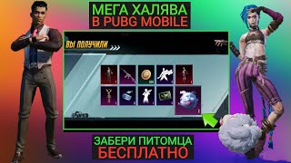 КАК ЗАБРАТЬ ПИТОМЦА БЕСПЛАТНО! МЕГА ХАЛЯВА В PUBG MOBILE! КАК ПОЛУЧИТЬ ПОСТОЯННЫЕ СКИНЫ ПУБГ МОБАЙЛ!