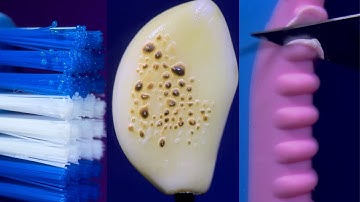 Burning garlic , toothbrush and more best Closeup Videos | ASMR | Macro Video