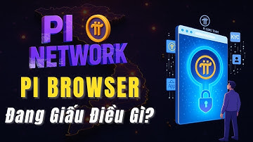 Pi Browser Là Gì? Pi Core Team đang giấu điều gì sau trình duyệt này?