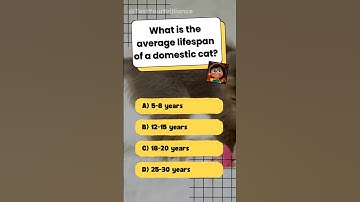 Cat Quiz on TestYourBrilliance #trivia #quiz #quizzes #shorts #brilliance #IQ #catquiz #cattrivia