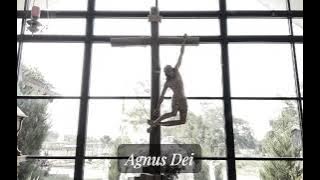 Ursula Asterisci - AGNUS DEI