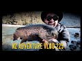 Hillbilly brown TROUT FLY FISHING New Zealand ADVENTURE VLOG 225 Camping in a storm with Josh James