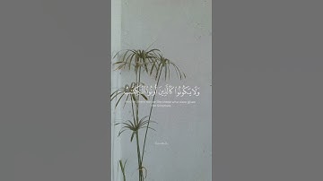 سورة الحديد #quran #قرآن #هزاع_البلوشي  #سورة_الحديد