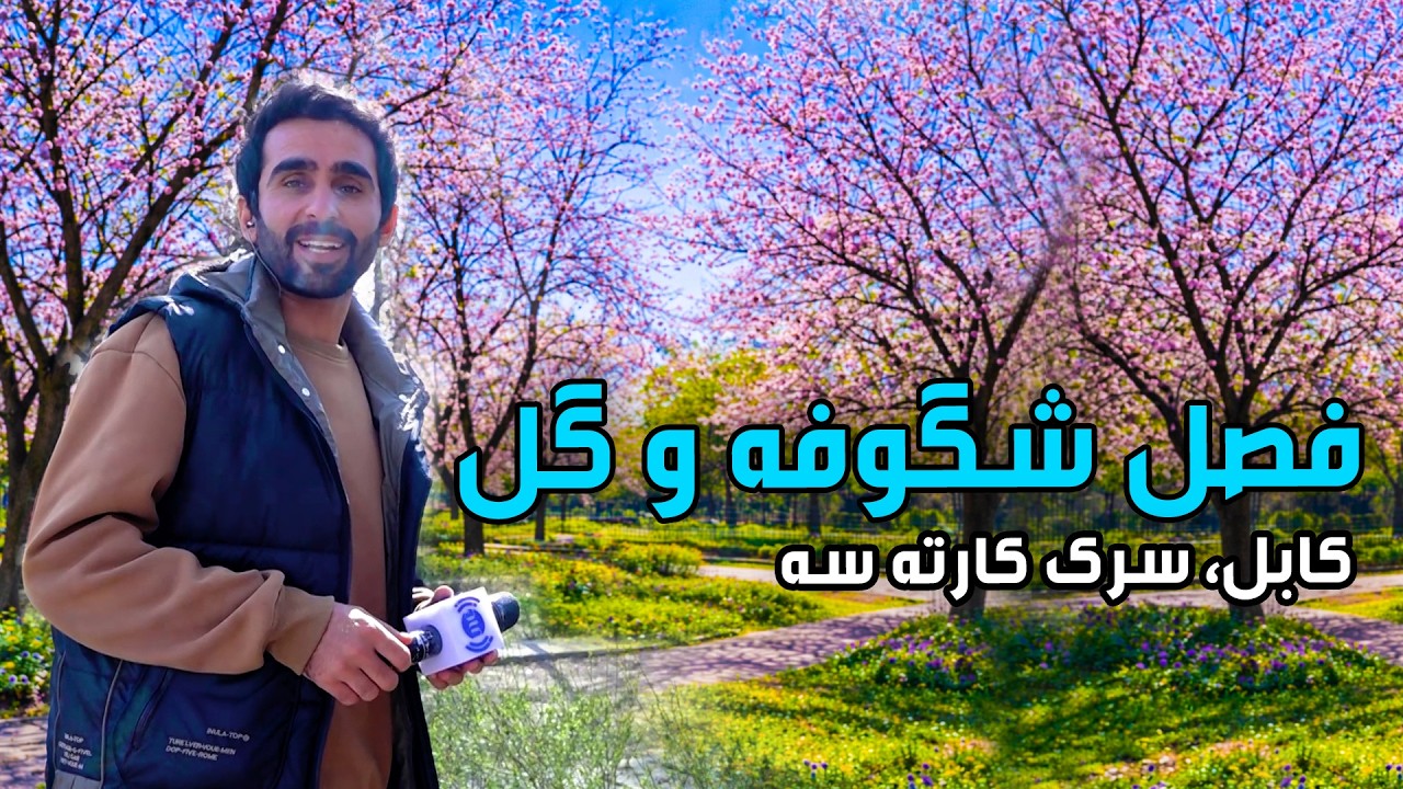 Сезон цветения и распускания цветов на улице Карте Се в Кабуле 🌸🌿