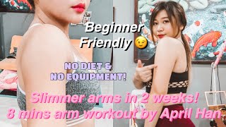 CARA MENGECILKAN LENGAN DENGAN CEPAT | I tried April Han arms workout!
