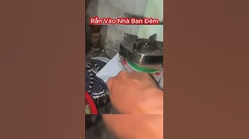 Cảnh Báo Sự Nguy Hiểm Khi Rắn Cạp Nia Hay Vào Nhà Ban Đêm #shorts #snake #rắn #rắnđộc