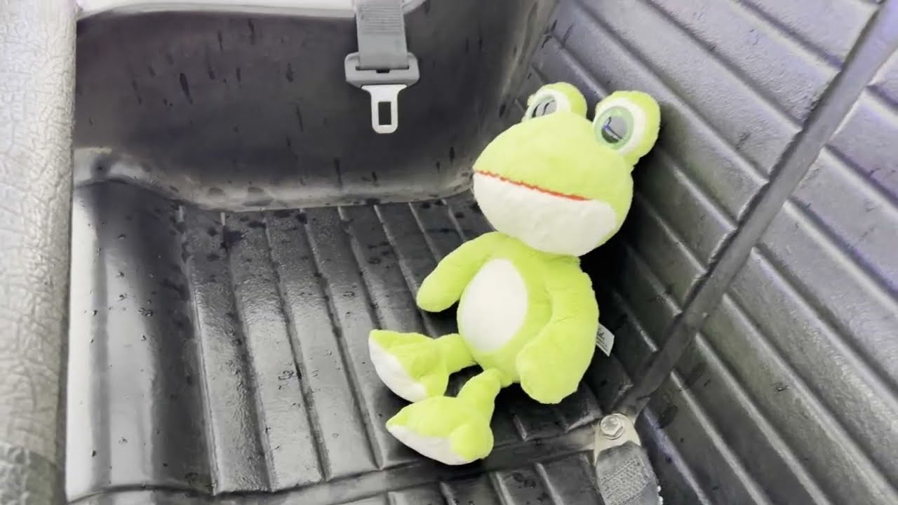 RANOTA JÚNIOR se sube al SALTAMONTES