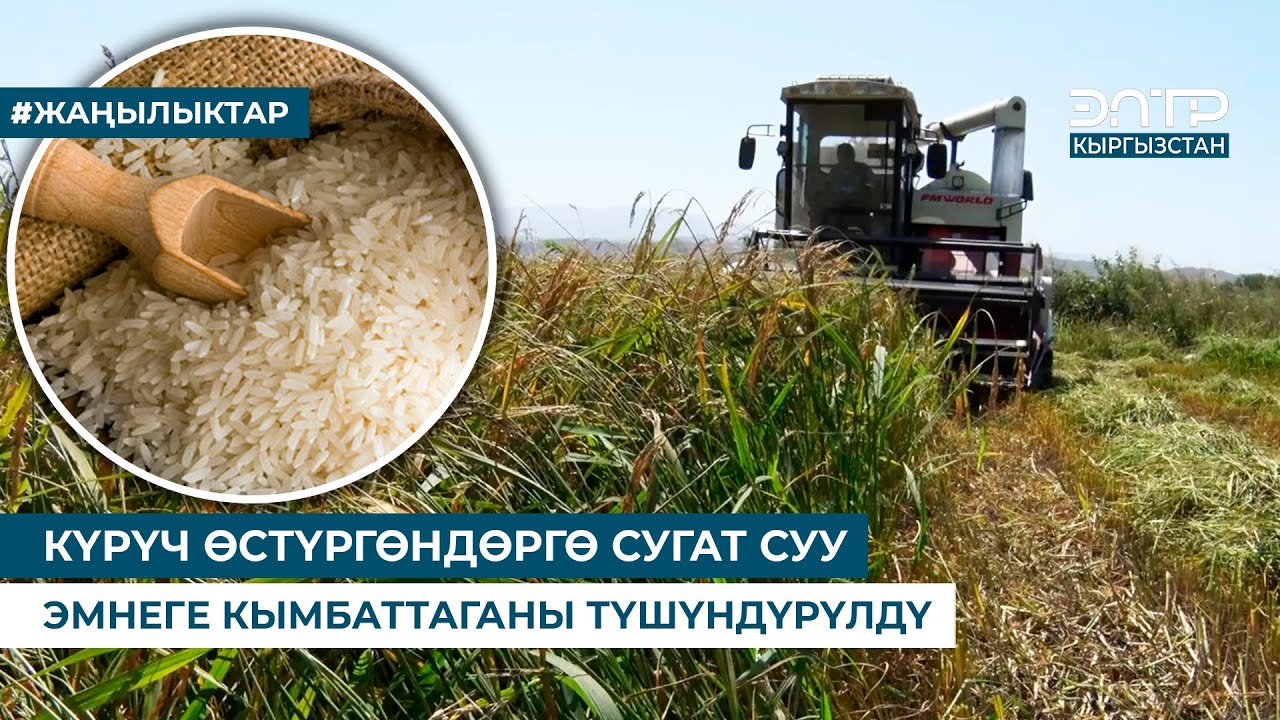 КҮРҮЧ ӨСТҮРГӨНДӨРГӨ СУГАТ СУУ ЭМНЕГЕ КЫМБАТТАГАНЫ ТҮШҮНДҮРҮЛДҮ