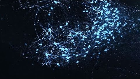 Processing emotions