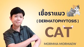 เชื้อราแมว ( ringworm ) แมวเป็นเชื้อรา รักษายังไง? #กลาก #แมว #กลากแมว #dermatology #cat