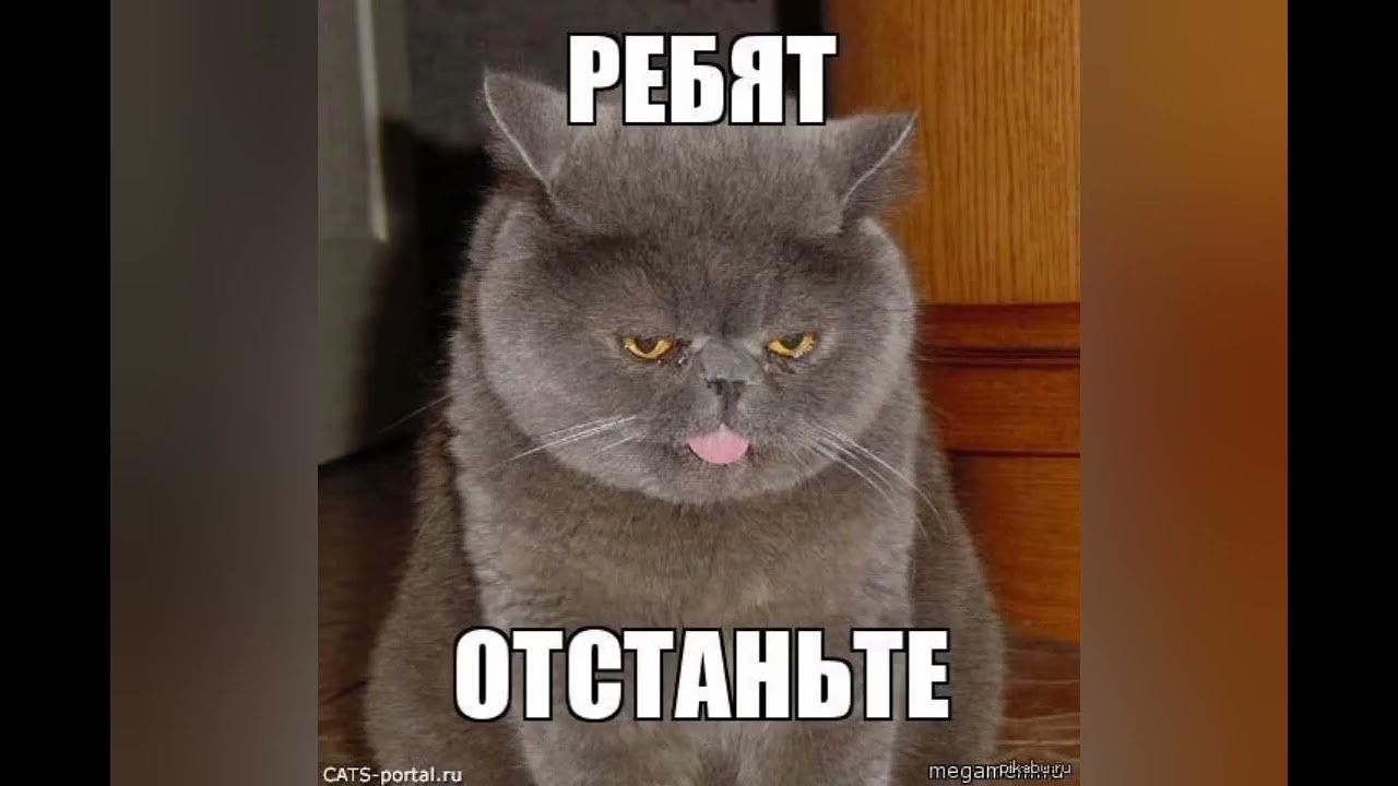 отстаньте от меня!. отстань пожалуйста. надпись отстаньте. отстаньте от меня пожалуйста у меня щас. отстаньте от меня пожалуйста у меня щас.