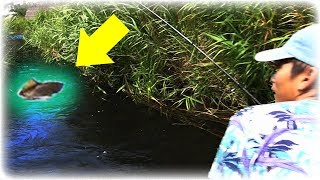 【石川県で釣り対決 #7】川に潜む謎の巨大魚がきたぁぁぁぁぁぁぁ！！