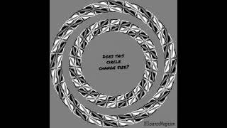 Pulsing circle optical illusion. Sped up version. Magic. Perception. Magical. Mind blowing.