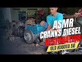 Diesel Engine Sounds Kubota 5B Restoration ASMR CRANKS