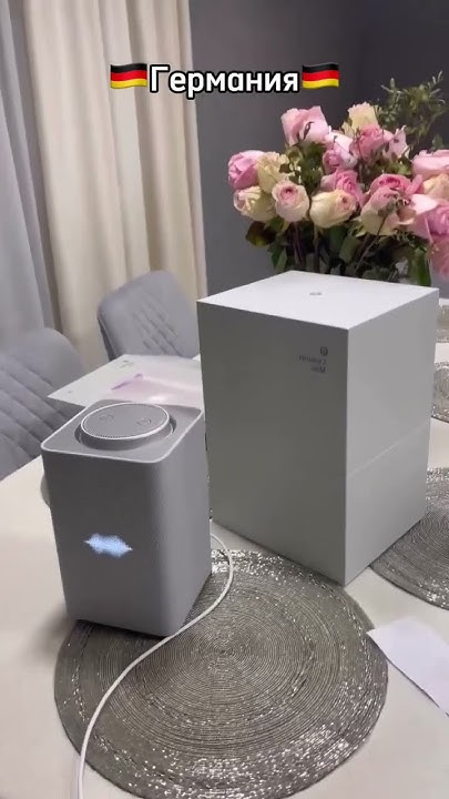 Для заказа Алисы напишите нам в инстаграм @electronics_latvia.#Алиса # ...