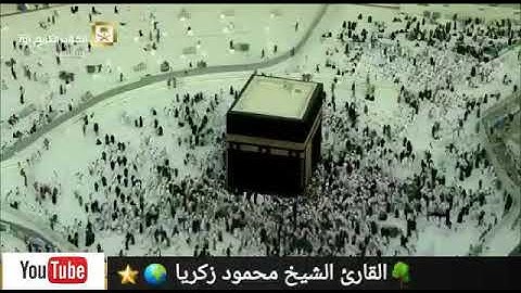سورة الجاثية - تلاوة رائعة وخاشعة جدا - بصوت القارئ الشيخ محمود زكريا