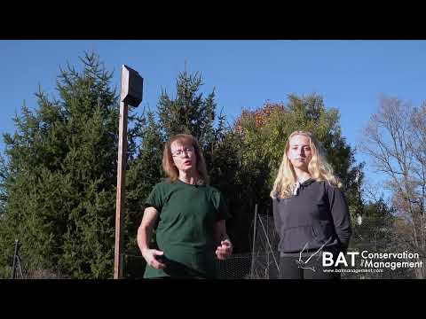 How to Install a Bat House on Post
