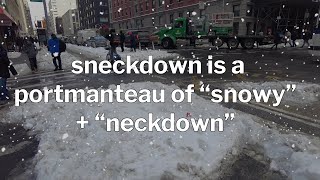 A Snazzy Snowy Sojourn Snooping for Sneckdowns