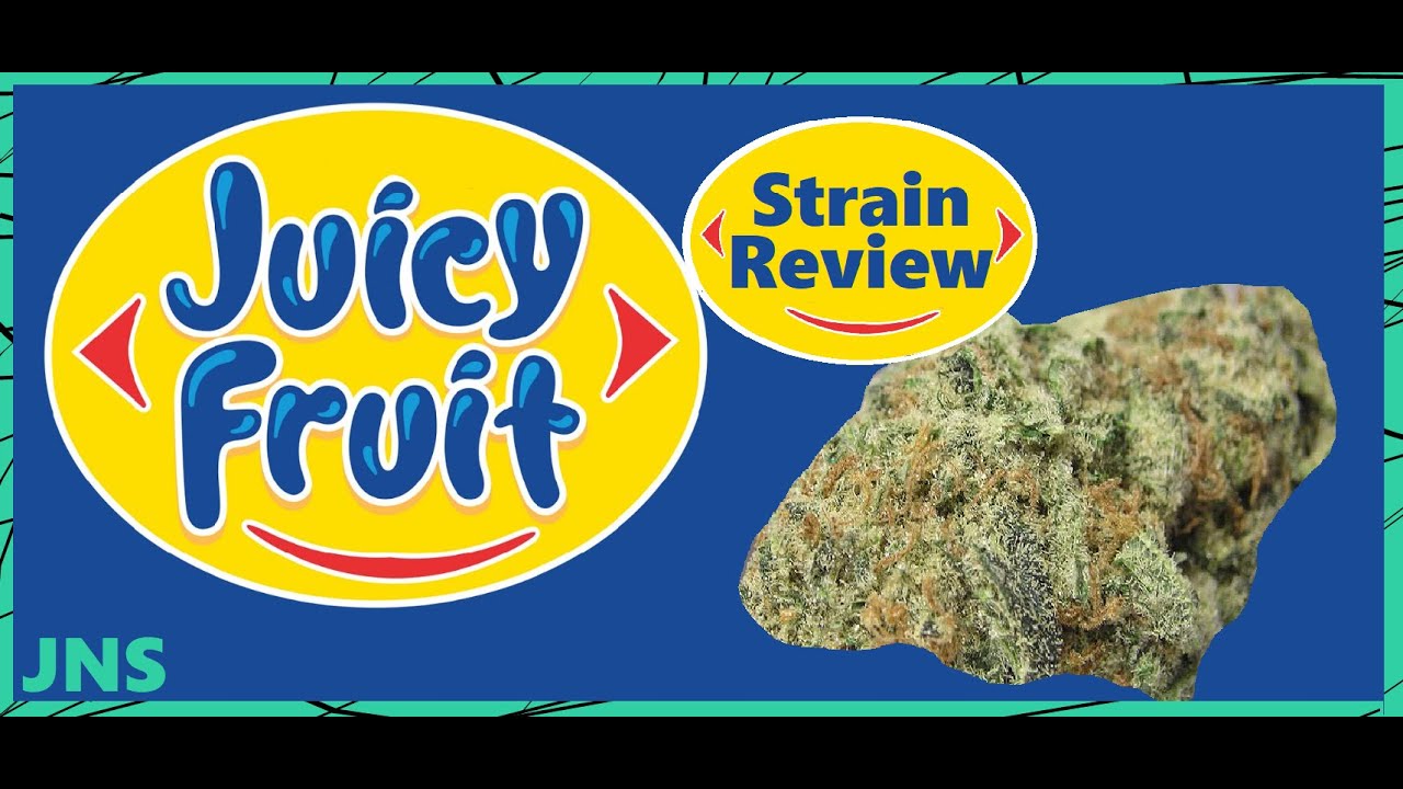 Juicy Fruit Kush Strain Review Marijuana/Cannabis Strain Review (smoke Session)(Comedy)