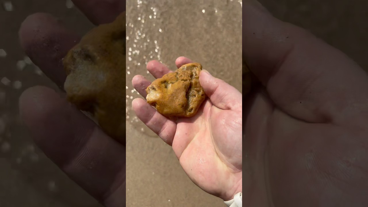 Agatized Charlevoix Stone! 