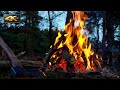 Feu de camp de chasse  ambiance nocturne et sons danimaux sauvages