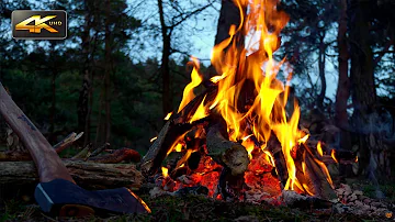 Hunting Campfire - Night Ambience & Sounds of Wild Animals