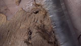 Campaign Film By Producer Gavin Polone