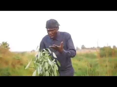 BOSMIC OTIM PI LOK LOK ADA