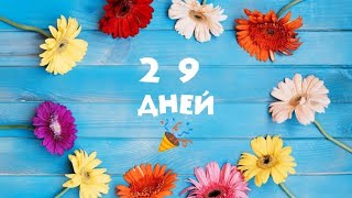 29 дней 🎉