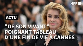 Cannes: 