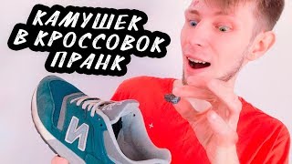 КАМУШЕК В БОТИНОК | ПРАНК НАД ДРУГОМ