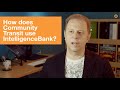IntelligenceBank Q&amp;A: Community Transit