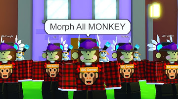 I got **ADMIN COMMANDS** In Pet Simulator X...