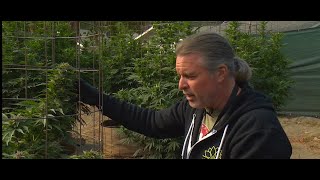 Kevin Jodrey / Two-Minute Tutorial: Increasing Soil Bioactivity In Your Garden / Ganjier