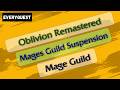 Let's Play - Everyquest - Oblivion (Remastered) - Mages Guild Suspension
