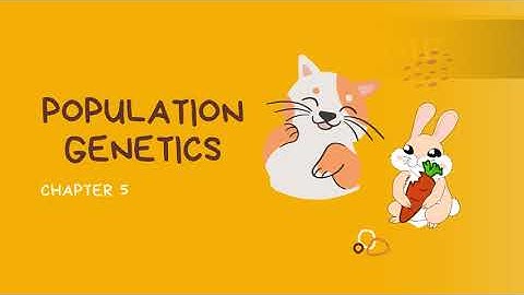 [LECT C5 : POPULATION GENETICS] 5.1 Gene Pool Concept & 5.2 Hardy-Weinberg Law