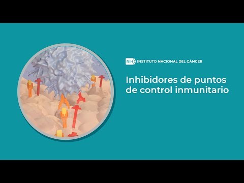 Vídeo: Efecto Sinérgico Del Bloqueo Del Punto De Control Inmunitario Y Antiangiogénesis En El Tratamiento Del Cáncer