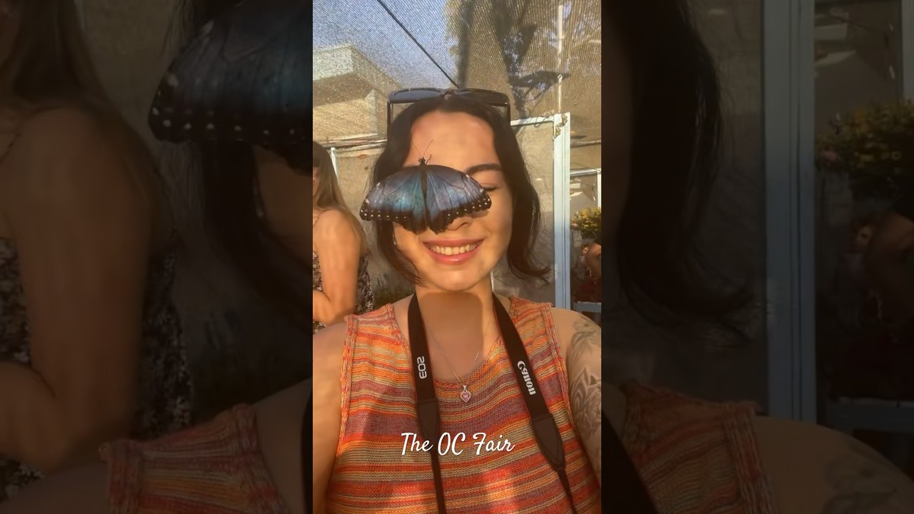 Butterflies at the OC Fair