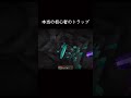 本当の初心者トラップw
