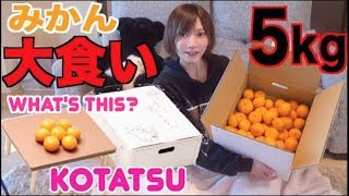 【MUKBANG】 Huge Box Of Mikan Orange [Making A Cute Kotatsu For My Cat!!] 5kg [Use CC]